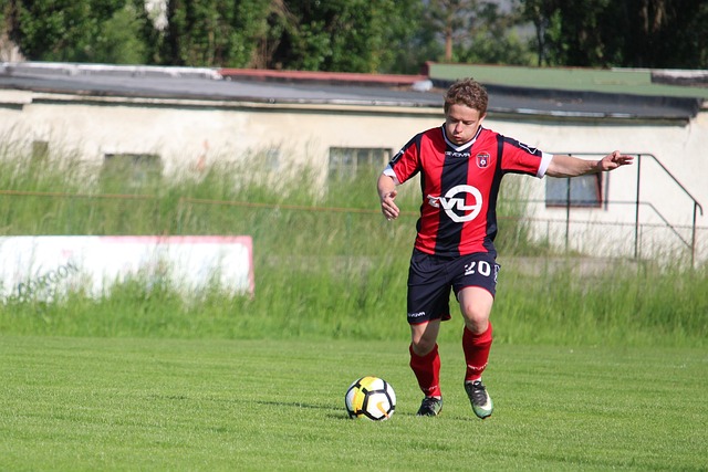 意甲战报：博纳佐利点射萨纳布里亚建功，克雷莫纳2-0莱切